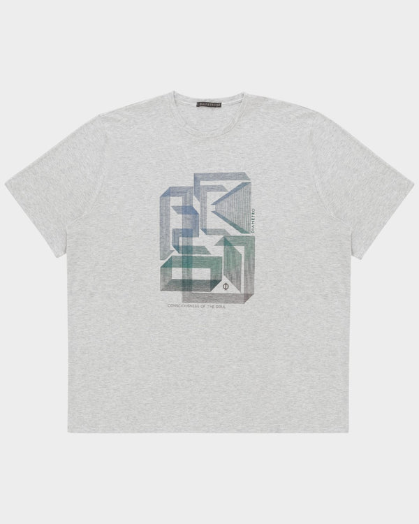 Remera Robin Plus Size